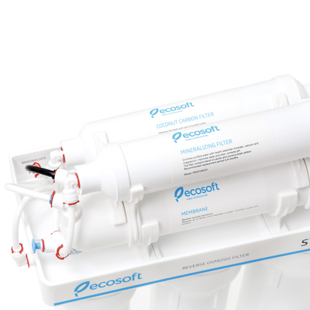 Обратный осмос Ecosoft Standard с минерализатором