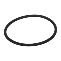 Уплотнительное кольцо для колбы Atlas Filtri 3P