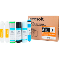 Комплект картриджей Ecosoft Absolute 12 месяцев CHV6ECOABS