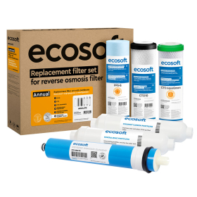 Комплект картриджей Ecosoft Absolute 12 месяцев CHV6ECOABS