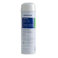 Pentair CC-10 картридж вугільний